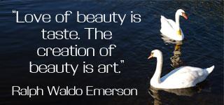 MSharpening's tweet image. 