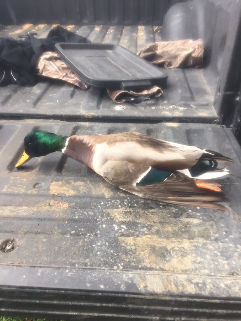 kkylle25's tweet photo. Nothing like a little bonus green https://t.co/5tIEcVUztO