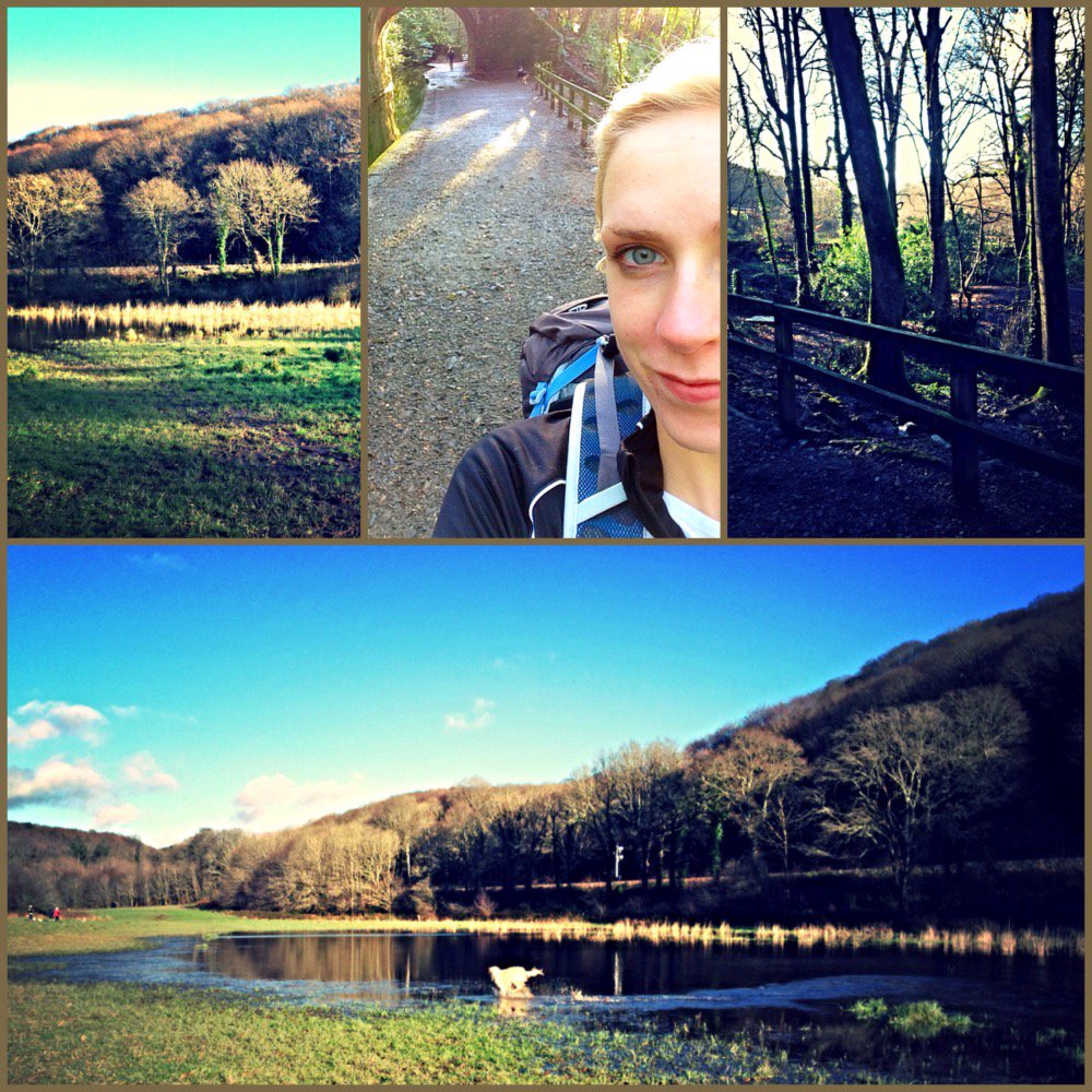 ClaudiasYomping's tweet photo. #training #yomp #RMCTF #fundraising #blueskies #bootneckettes #wecandothis #followourjourney #greatoutdoors #dog https://t.co/bkPPQvVVul