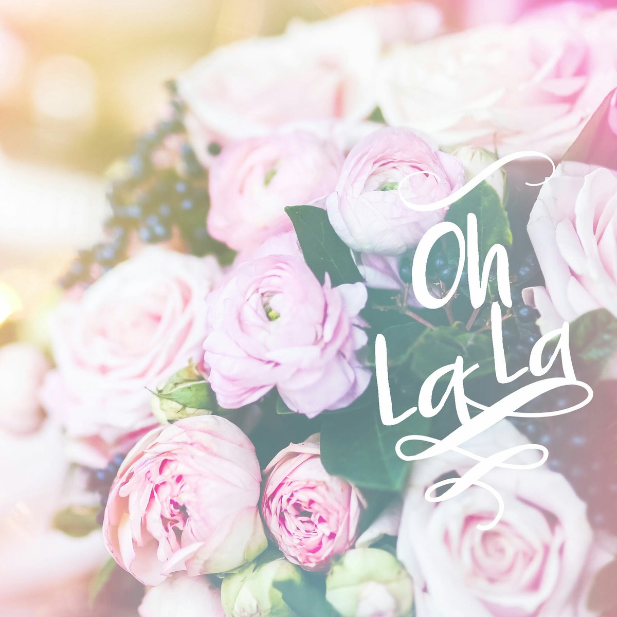 wolfkat2003's tweet image. 