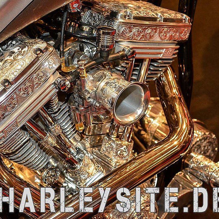 TheBikerBabe's tweet photo. RT https://t.co/CFtAu7HqhG #oldschool #harley #harleydavidson #harleysite #harleyengine https://t.co/Smndcbriu7 https://t.co/uCgGLMZoFb