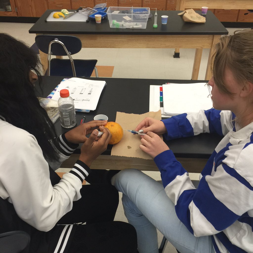 Deanna Miller tweet media