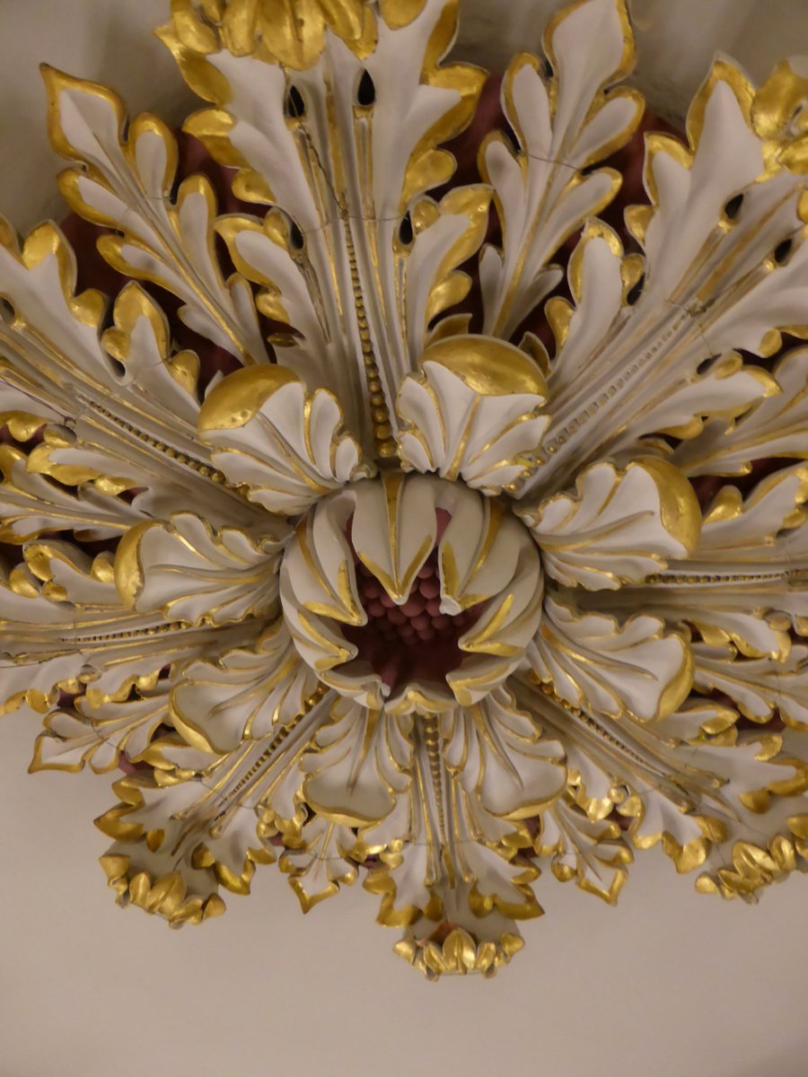 Admiring &amp; restoring the amazing detail in the 1866 ceiling flowers of the #adelaidetownhall. <a href="/CityofAdelaide/">CityofAdelaide</a>