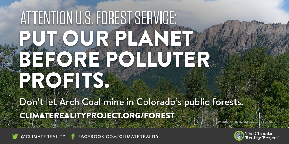 algore's tweet image. .@ForestService:Put our planet before polluter profits.Don’t let @ArchCoal mine our forests! ow.ly/X5bkS