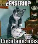 ivanmartin69's tweet photo. @alberlozano96 https://t.co/qH0WCLMmGS