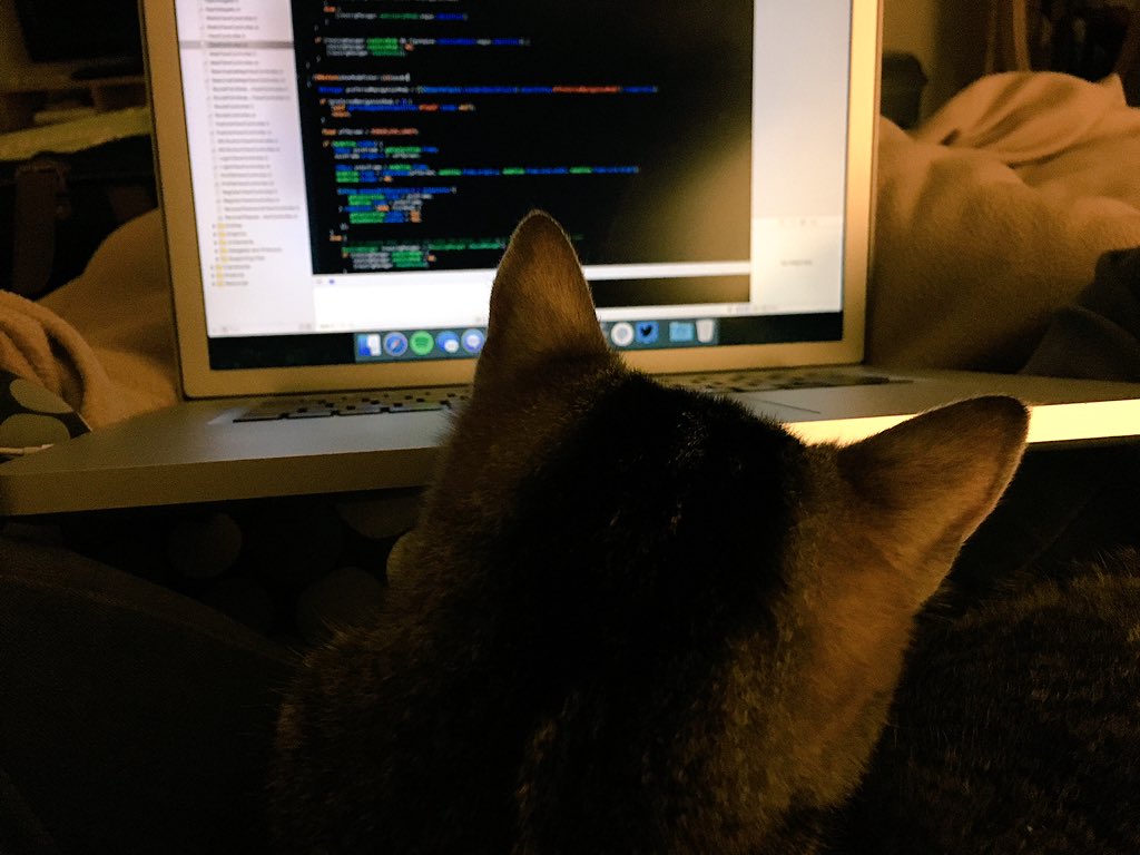 entropid's tweet image. #CodingCompanions