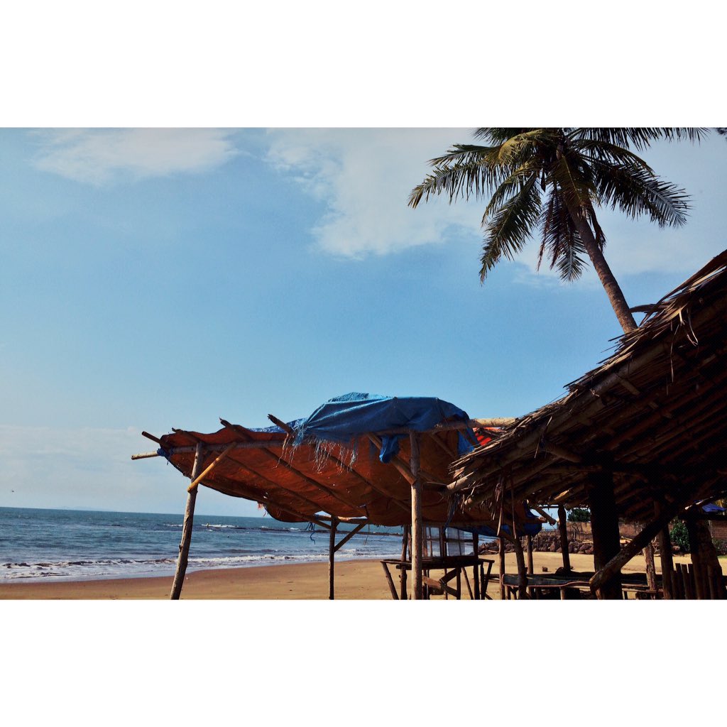 • W E E T • tweet media