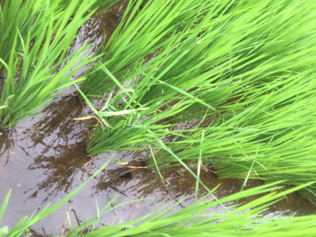 sivasankaran5's tweet image. 