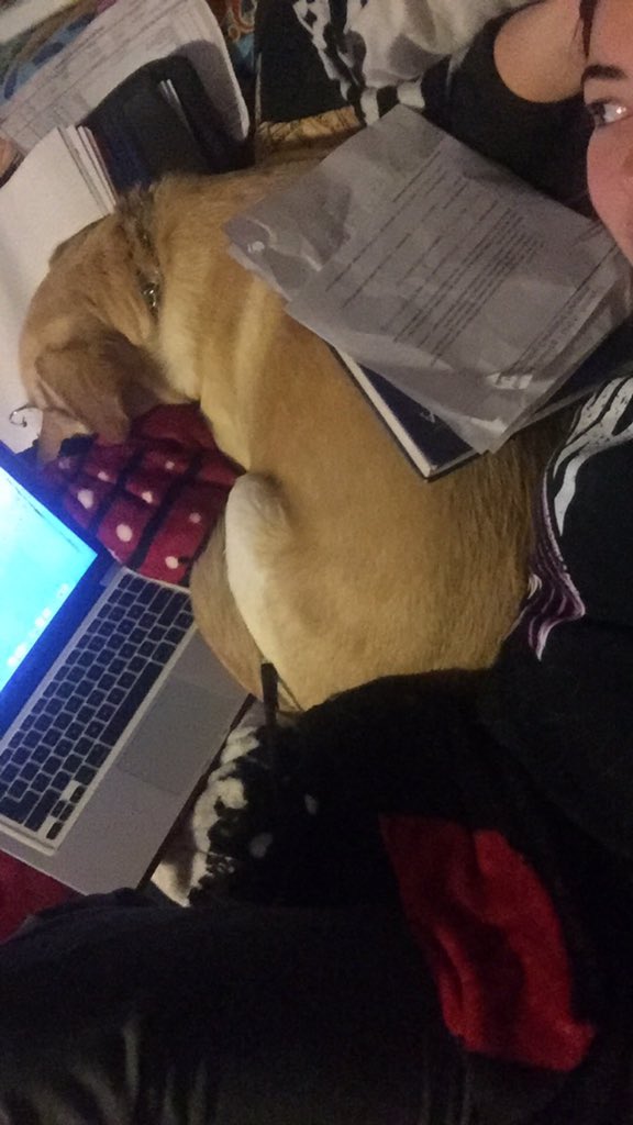 AvalonElexa's tweet image. We make it work #homeworkproblems