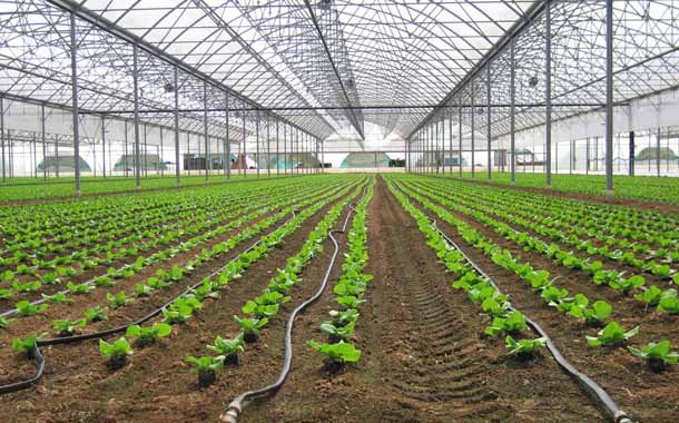 FenacoreOficial's tweet photo. Agricultura recupera las #ayudas para el #riego https://t.co/dh5rA7CcxB Vía @informacion_es https://t.co/WtJshAgWJj