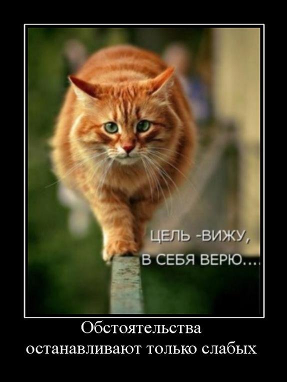 bugy052's tweet image. 