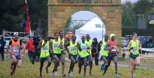 atletismoRFEA's tweet photo. El cross de Itálica presenta batalla (además controles RFEA en pista cubierta) https://t.co/kiEDFk49OO https://t.co/TKl6tN3Ttn
