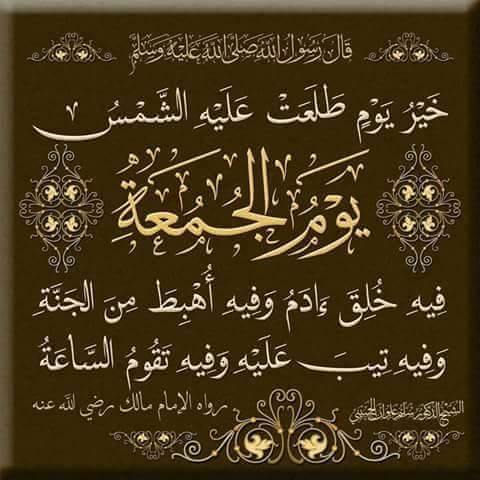 Sadi29320721's tweet photo. https://t.co/P3lFPGYsHp