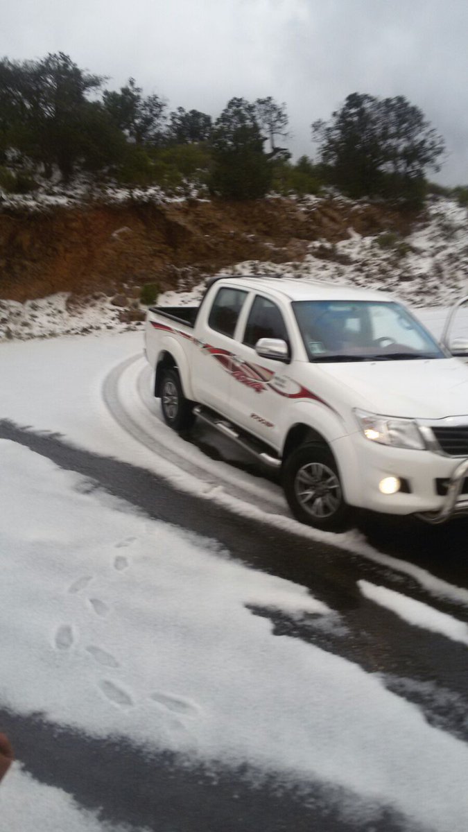 maha202012's tweet photo. https://t.co/vRno7wxZDE