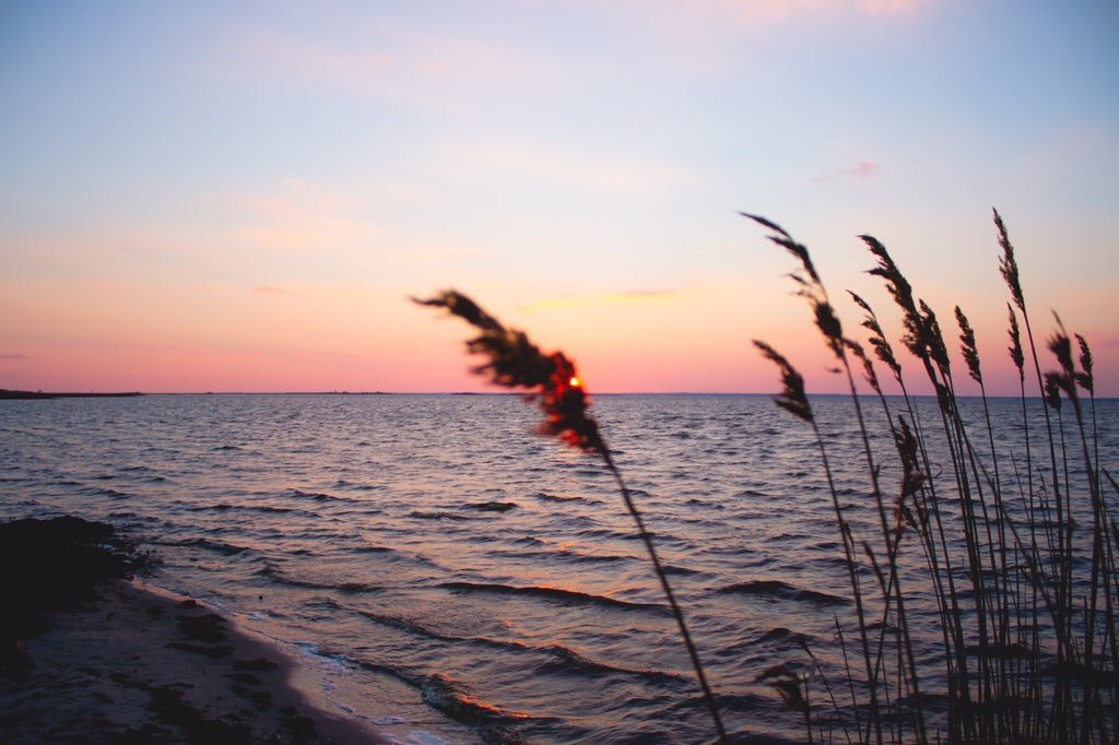 visualgasm's tweet photo. hidden sun https://t.co/b0S7Twx1eq