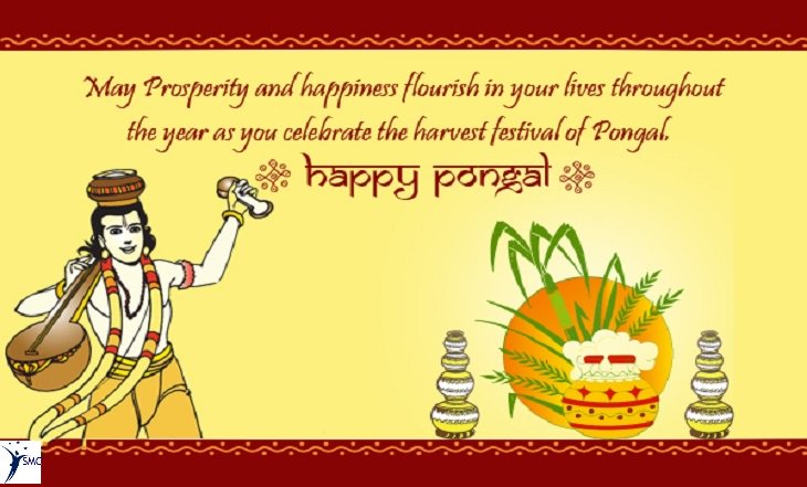  Happy Pongal : Greeting Cards