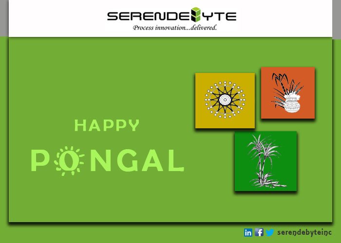 SerendebyteInc's tweet photo. The #Serendebyte family wishes everyone a very Happy Pongal https://t.co/di6G5DHZAu