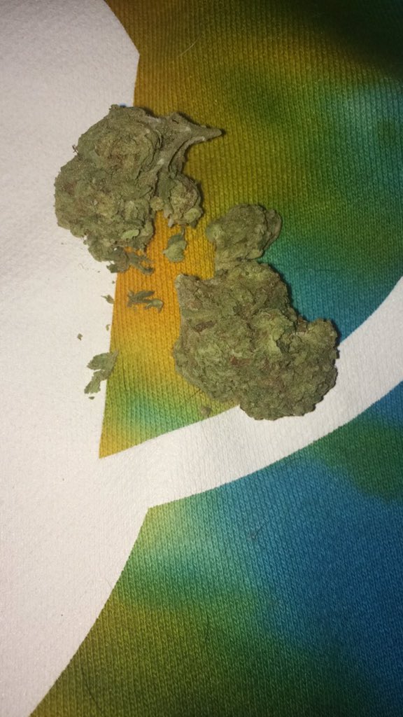 stonedexplorer's tweet image. 