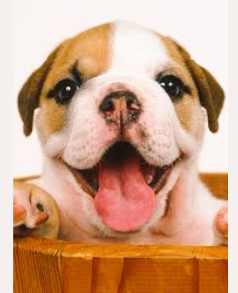 onemansnote's tweet photo. This happy it's Friday #fridayfeeling https://t.co/f5RY4jZ1ov