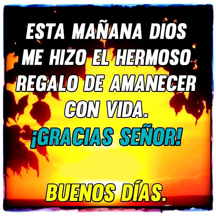 Fernando Jesús Amor tweet media