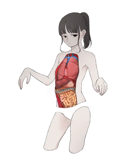 教材 