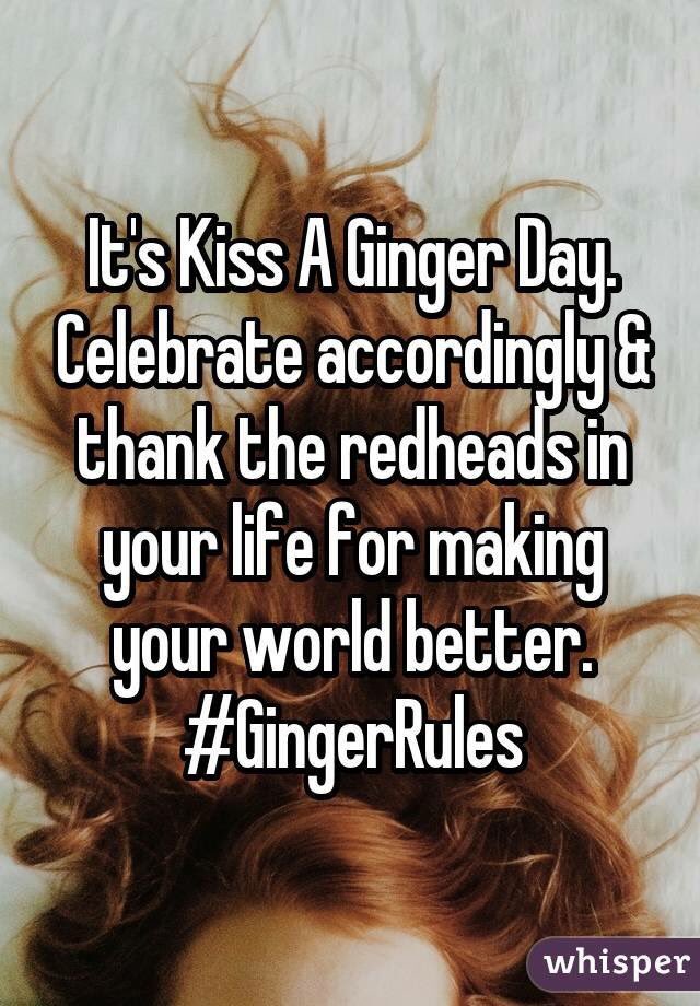 SamNovik's tweet image. 