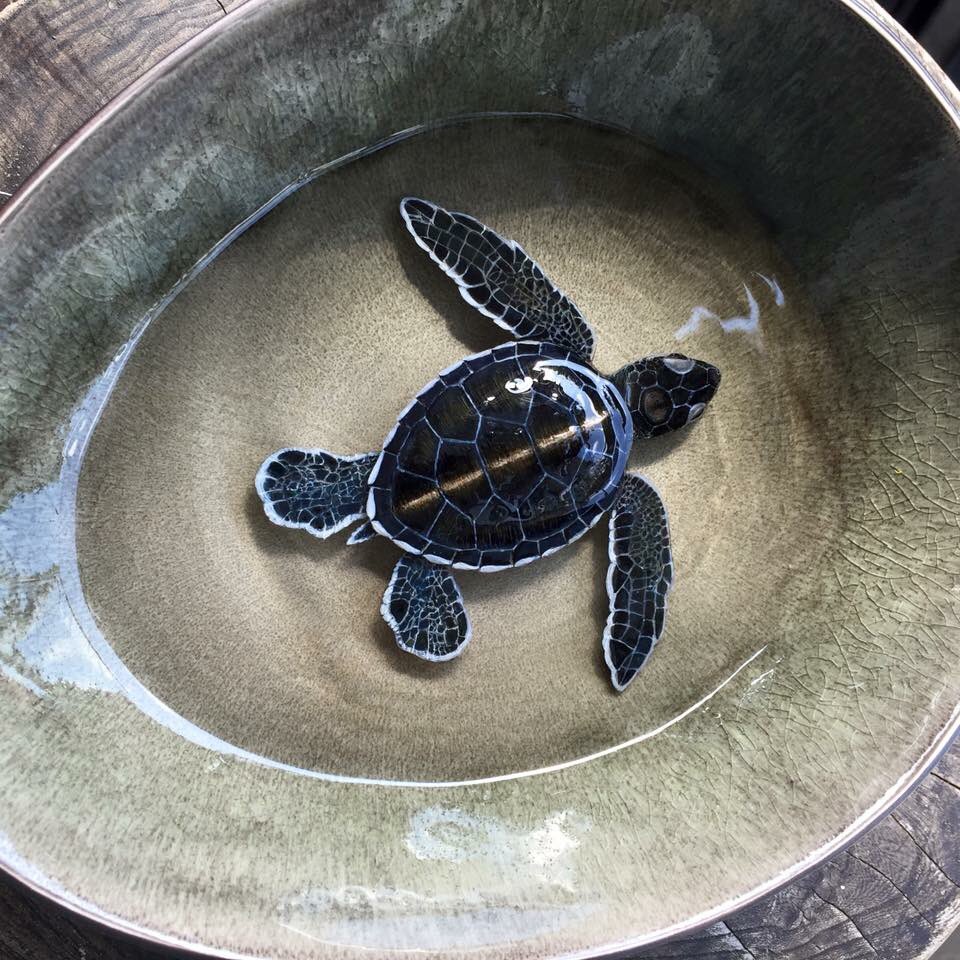 кулоны из эпоксидной смолы. кит из эпоксидной смолы. черепашки в эпоксидной смоле. черепаха эпоксидная смола. кенг лай живопись с эпоксидной смоле.