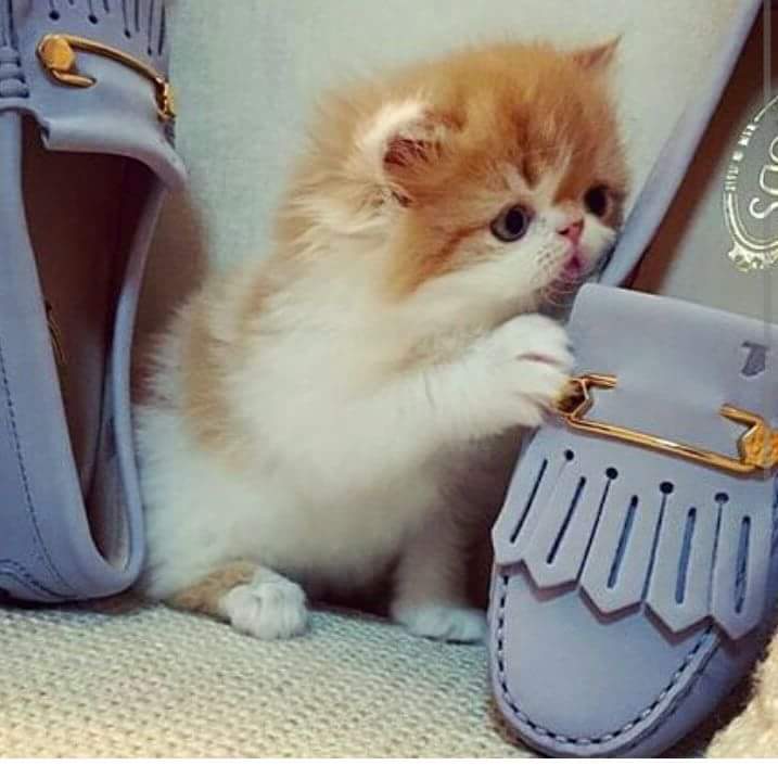 damelia_ela's tweet photo. https://t.co/aFsQUOgej8