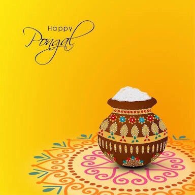  Happy Pongal : Greeting Cards