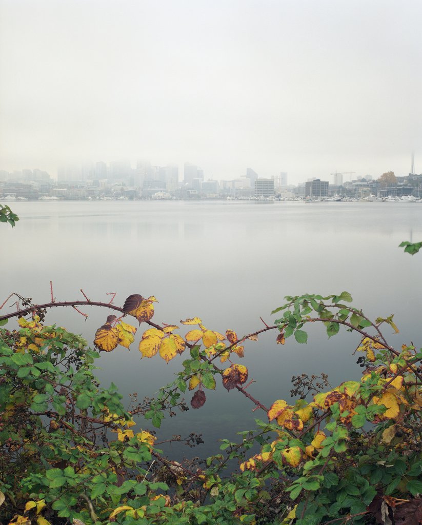 SeattleDPD's tweet image. A quiet fall morning in Seattle by Zeb Andrews

Via... #cheapflightstoseattle seattle-wa.tumblr.com/post/134545062…