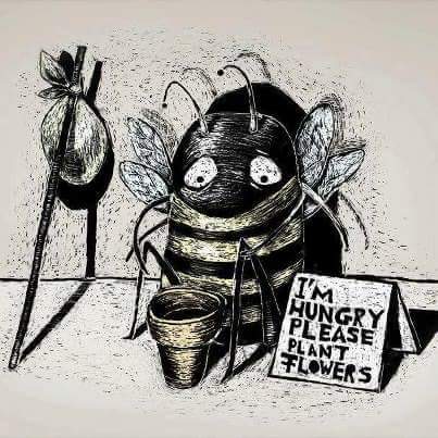 pimlemmers's tweet photo. Help de #bijen en #vlinders met een BIJvriendelijk bermbeheer! Minder maaien zorgt voor meer voedsel! #SaveTheBees https://t.co/oxbHcyZIYR