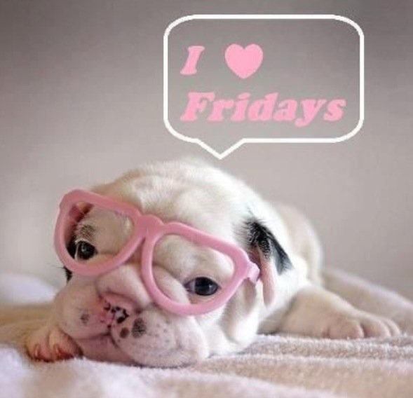 BoostWonderpark's tweet image. Are you ready to get your weekend going? Get to our shop in @WonderparkPTA and spoil your tastebuds with a smoothie!