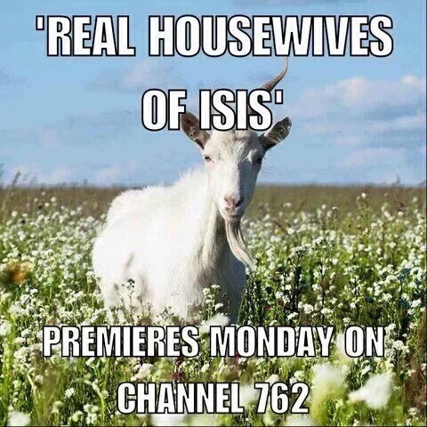 AnonViol3nt's tweet photo. @OzWitness40 https://t.co/L05xbxXpbR