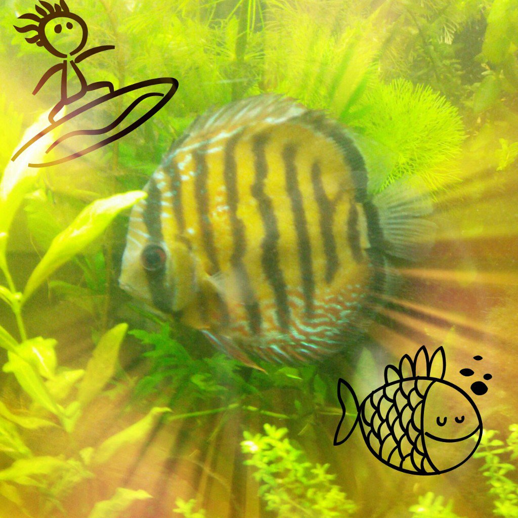 #PicsArt
 bnc.lt/f1Fc/bknqab9Q9p