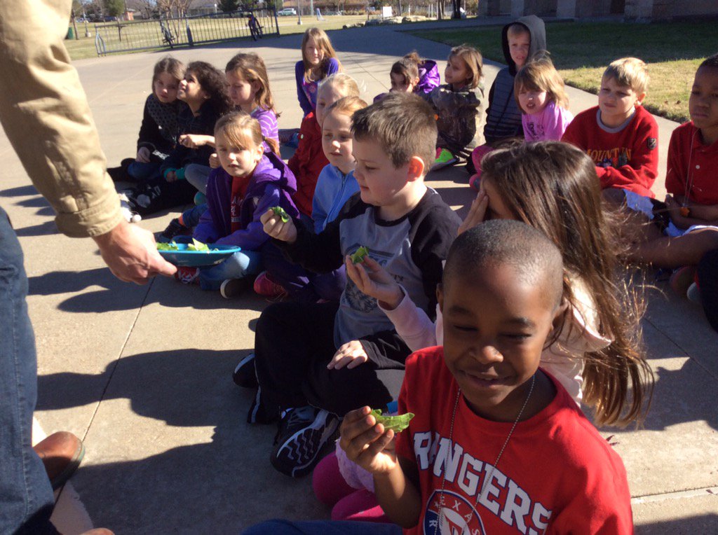 MrsBullajianWWE's tweet photo. A visit from the Veggie Van! @WoodwayElem @MidwayISD #bullajian1516 #worldhungerrelief https://t.co/VTbneg2I5w