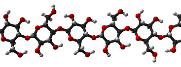 golgibears's tweet photo. The Golgi makes these long sugars chains called polysaccharides! IT does so many things for the cell! #cellection16b https://t.co/6JjqmhFBcX