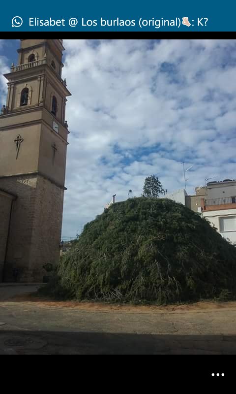 gemmaca97's tweet image. Hogueras de san Antonio