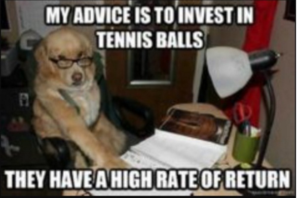 Sage advice with #bitcoin price movements today #fx #money #dogs #crypto #tennis #InvestmentProfessionals #fintech