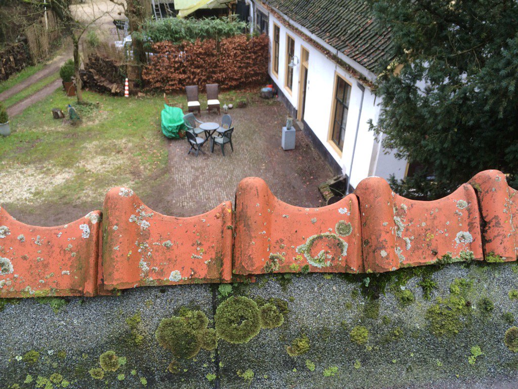 Landgoed Wickenburgh tweet media