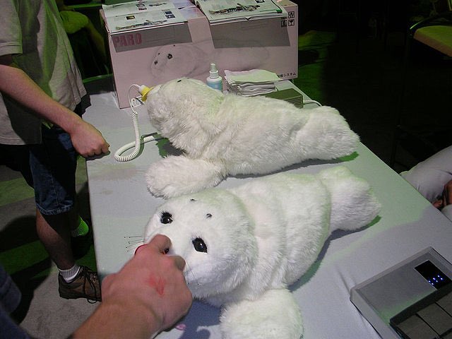 KoalasWelcome's tweet image. Hasbro Cat and Paro the Seal #companionrobots