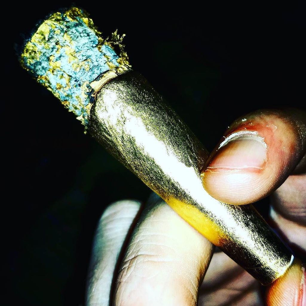 ShinePapers's tweet photo. Louisville sluggin it! #shinetilidie @shinepapers @shine_papers @shinepaperseu @shinepapersau #shinepapers #shine24… https://t.co/AbjzMTjcJB