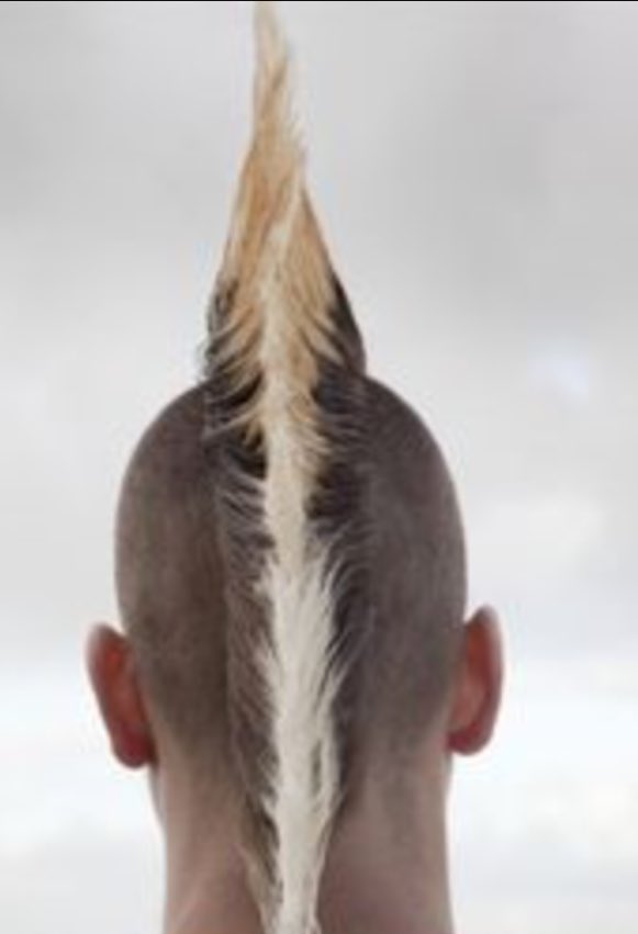 1st contest cut of the year complete, now for #Butlins2016 with <a href="/DesfordBand/">Desford Band</a> @tomdavoren - good luck to all bands.