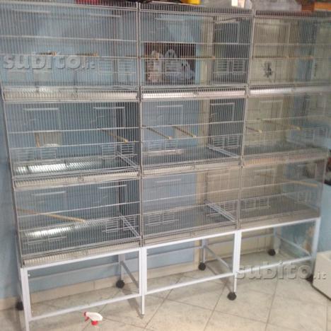 rob harvey bird cages