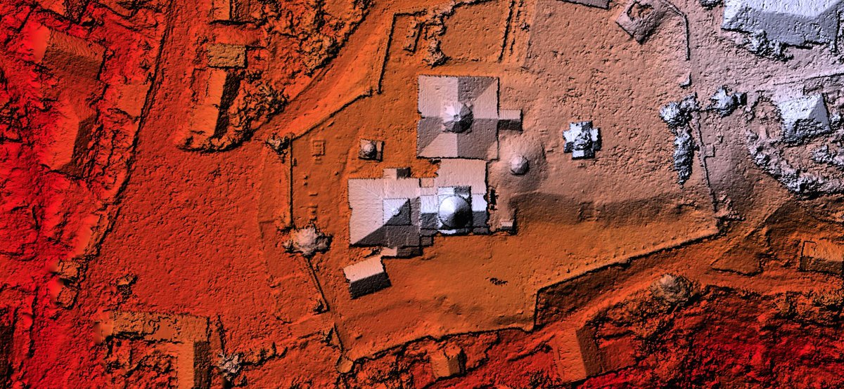 USF STEM tweet media