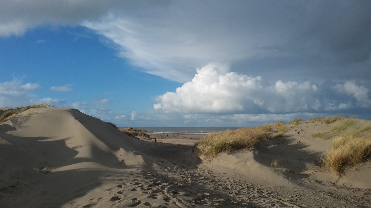 veenhj's tweet photo. Volg mijn ook als boswachter via @Bosw8erHJ en blijf op de hoogte van weer en natuur in Noord-Nederland https://t.co/A0E39dlDoV