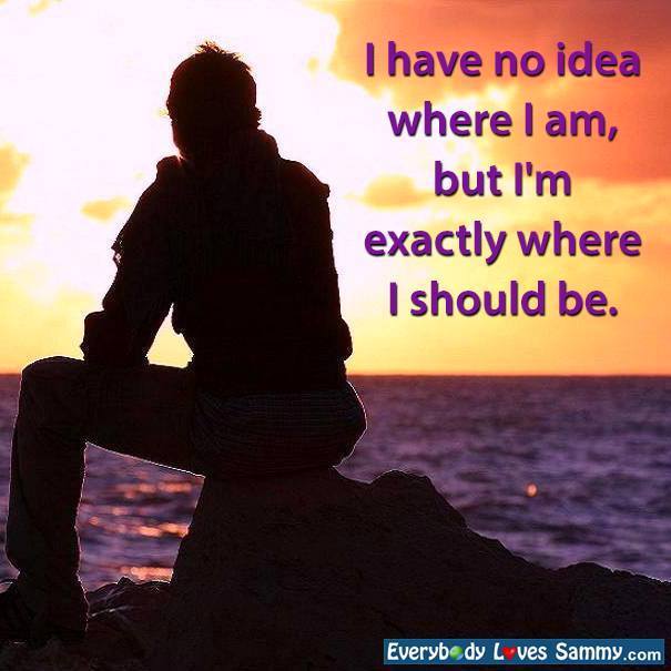 DWCompassion's tweet image. Self Reliance.   #DrHarpSeal