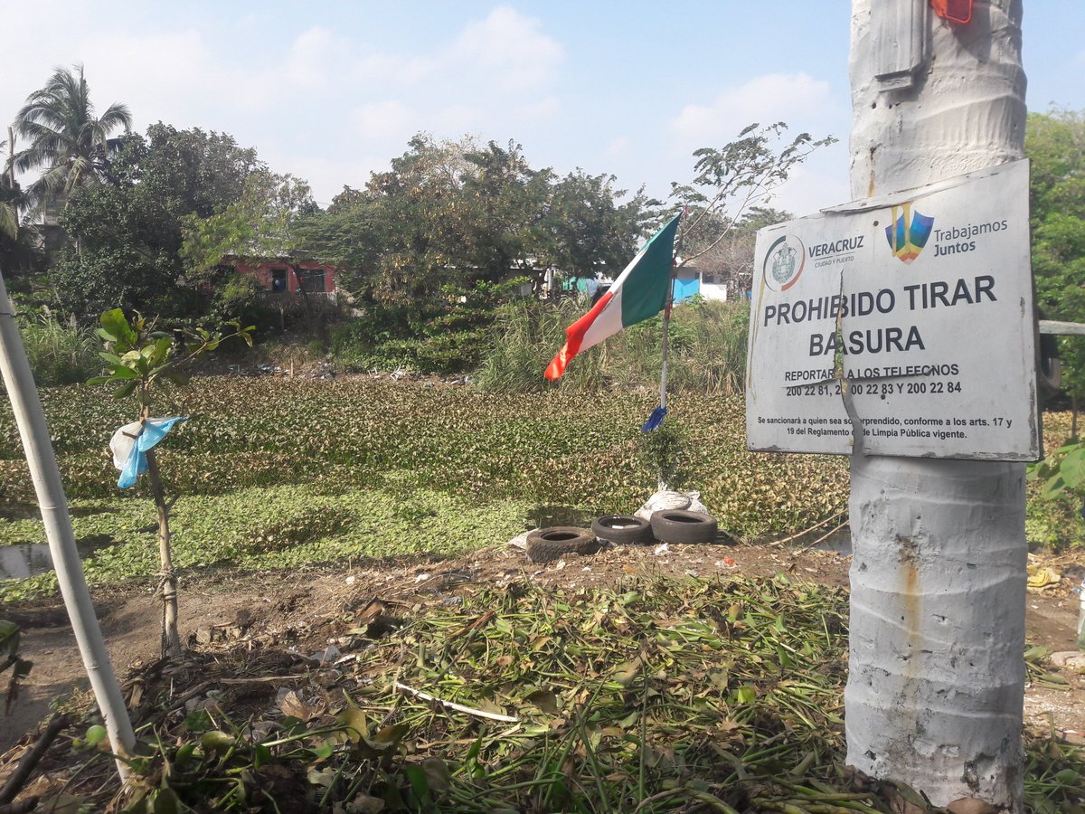 davilamartin's tweet photo. Reglas impuestas para no respetarse Laguna "El Olvido" un foco de contaminación @VeracruzGob La historia hoy x #RTV https://t.co/5BLGNmzKwW