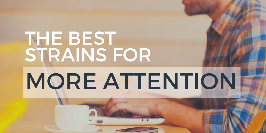 ThinkTankExile's tweet photo. Need to get focused? Use this guide to find the right #cannabis strain for you: https://t.co/rqN96j52Uy  #focus https://t.co/BypkU27odm