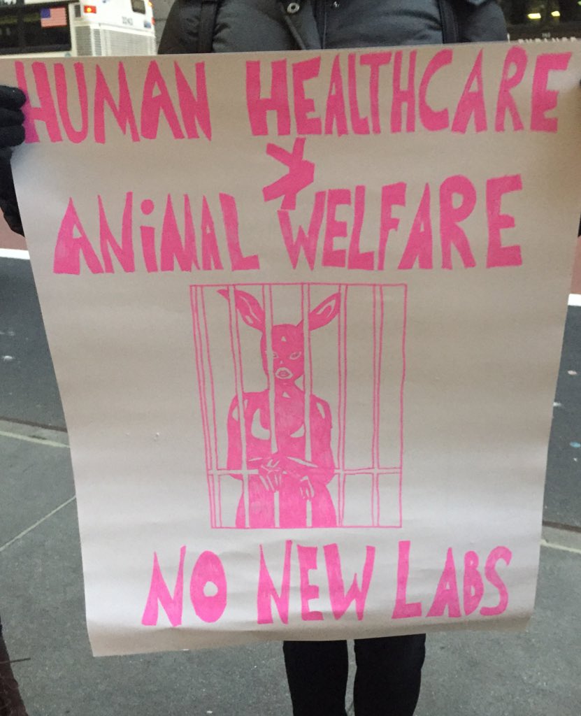 Vegandominatrix's tweet photo. Over 100 ppl at the opening #swarmskanska protest! This is my favorite sign obviously. #StormSkanska #nonewanimallab https://t.co/1miSbHOy2g
