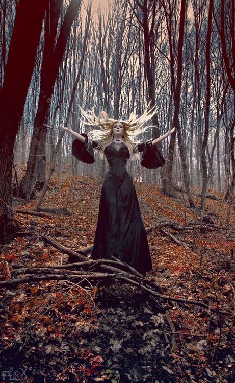 WeAreOccultists's tweet photo. A special thank you to Akua Grant, Wendy Winder, and Gil Shafir for your support in the campaign!  #occultists https://t.co/gTKzOzBmRZ